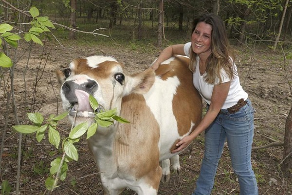 Tracy Murphy Biography: Asha's Farm Sanctuary Owner Arrested For Larceny And Find Why She Refused To Return Cows To Rightful Owner | Stardom Facts