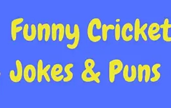 cricket jokes puns header